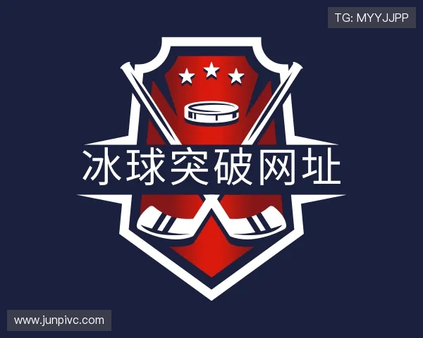 认识冰球突破网址